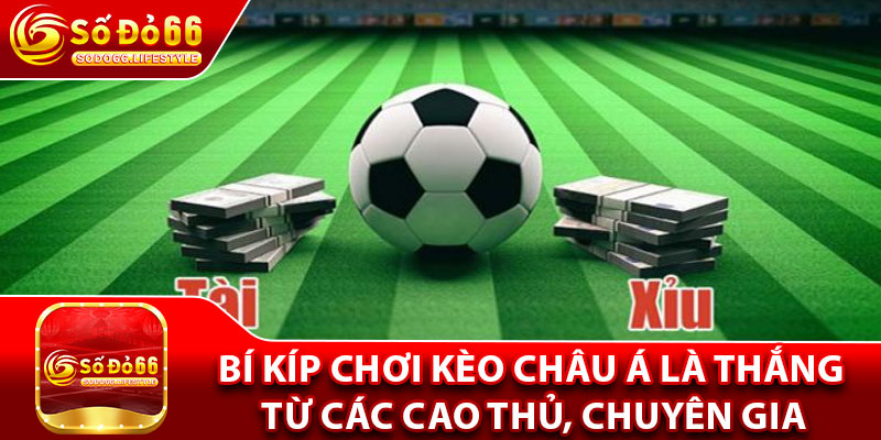 Bí kíp chơi kèo Châu Á là thắng từ các cao thủ, chuyên gia