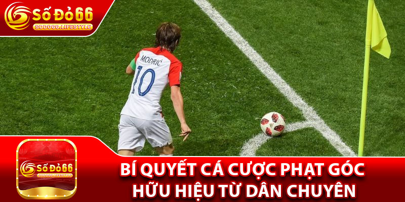 Bí quyết cá cược phạt góc hữu hiệu từ dân chuyên