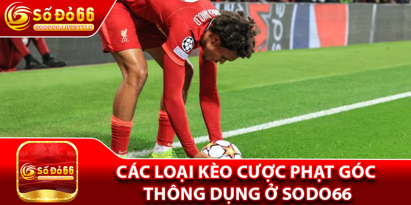 Các loại kèo cược phạt góc thông dụng ở Sodo66