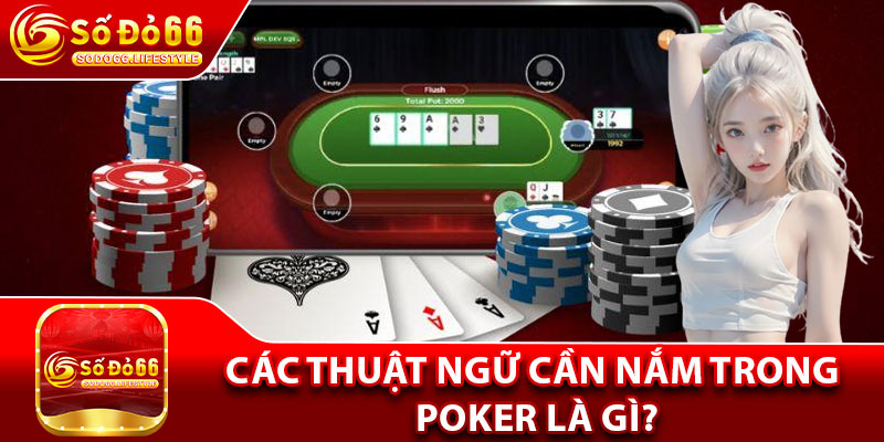 Các thuật ngữ cần nắm trong Poker là gì?