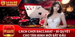 Cách Chơi Baccarat – Bí Quyết Cho Tân Binh Mới Bắt Đầu 