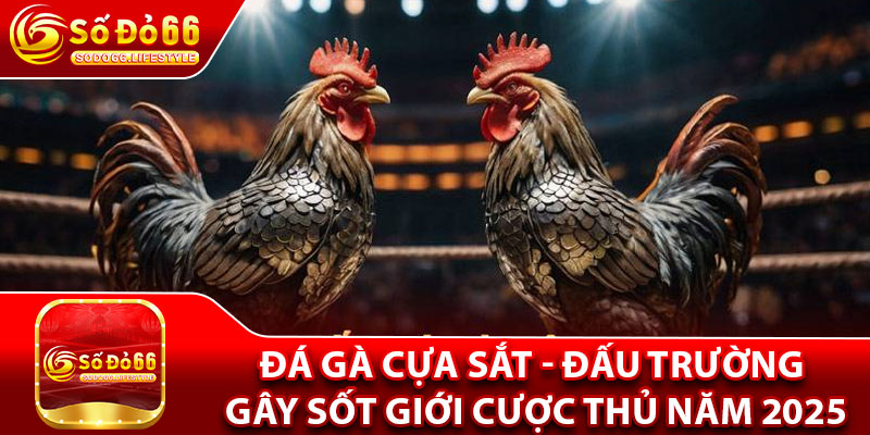 Đá Gà Cựa Sắt - Đấu Trường Gây Sốt Giới Cược Thủ Năm 2025