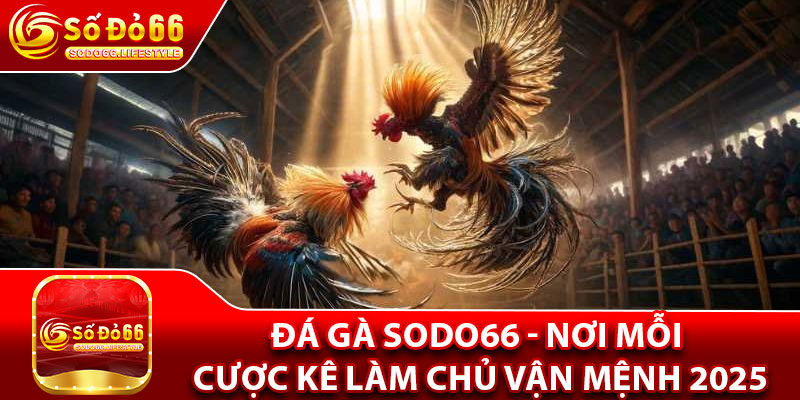 Tổng quan đôi nét về sảnh đá gà Sodo66
