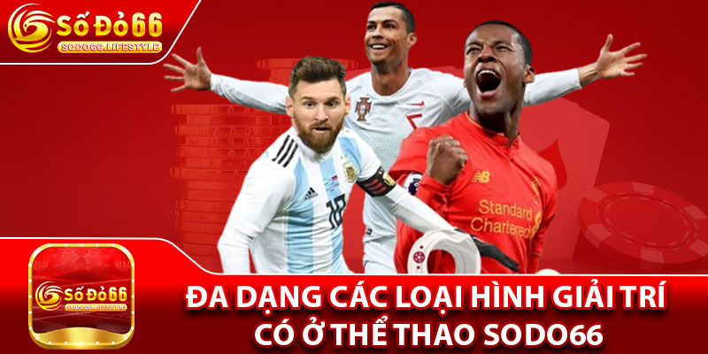 Đa dạng các loại hình giải trí có ở thể thao sodo66