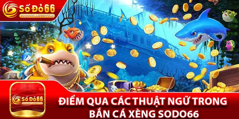 Điểm qua các thuật ngữ trong bắn cá xèng Sodo66