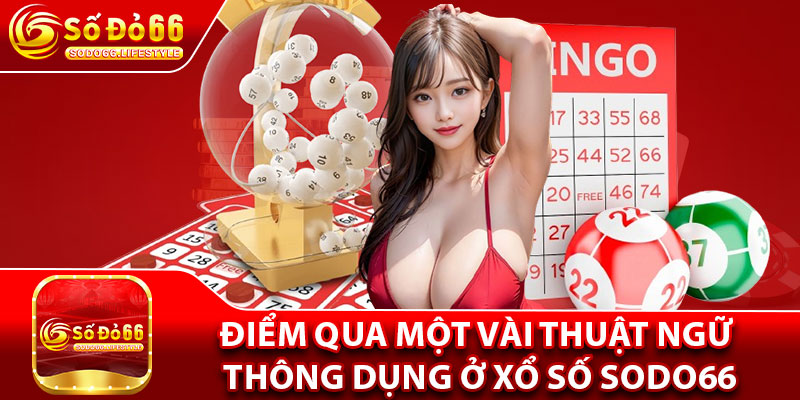 Điểm qua một vài thuật ngữ thông dụng ở xổ số Sodo66