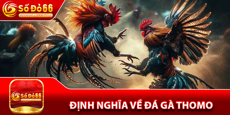 Định nghĩa về đá gà Thomo