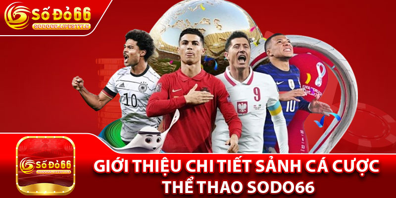 Giới thiệu chi tiết sảnh cá cược thể thao Sodo66