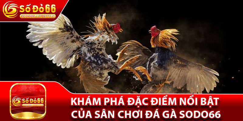 Khám phá đặc điểm nổi bật của sân chơi đá gà Sodo66