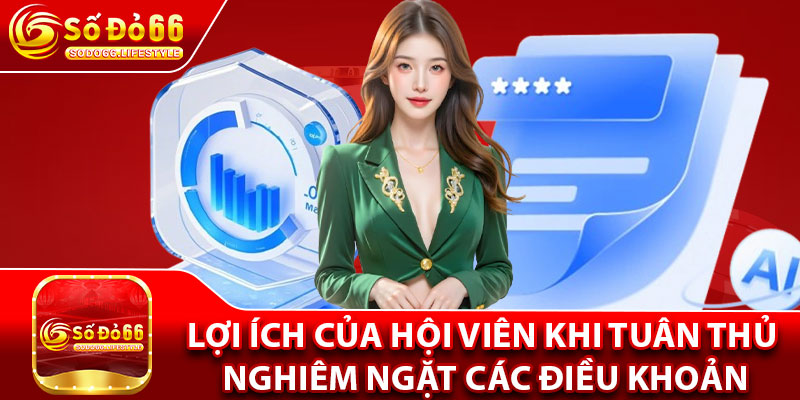 Lợi ích của hội viên khi tuân thủ nghiêm ngặt các điều khoản