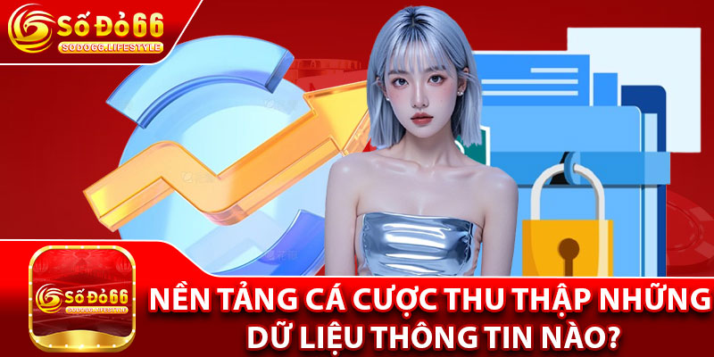 Nền tảng cá cược thu thập những dữ liệu thông tin nào?
