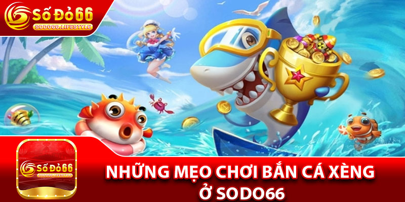 Những mẹo chơi bắn cá xèng ở Sodo66