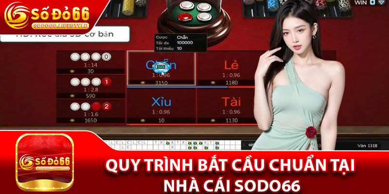 Quy trình bắt cầu chuẩn tại nhà cái Sodo66