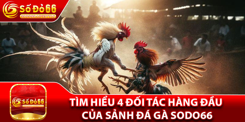 Tìm hiểu 4 đối tác hàng đầu của sảnh đá gà Sodo66