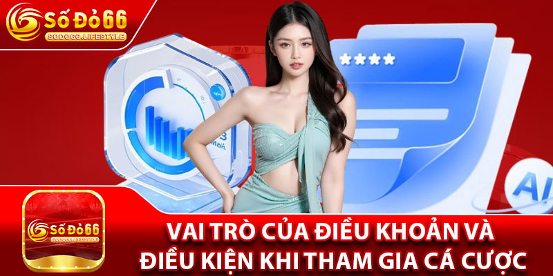 Vai trò của điều khoản và điều kiện khi tham gia cá cược