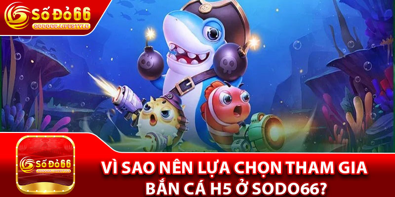 Vì sao nên lựa chọn tham gia bắn cá H5 ở Sodo66?