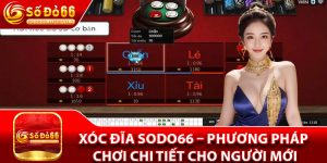 Xóc Đĩa Sodo66 – Phương Pháp Chơi Chi Tiết Cho Người Mới